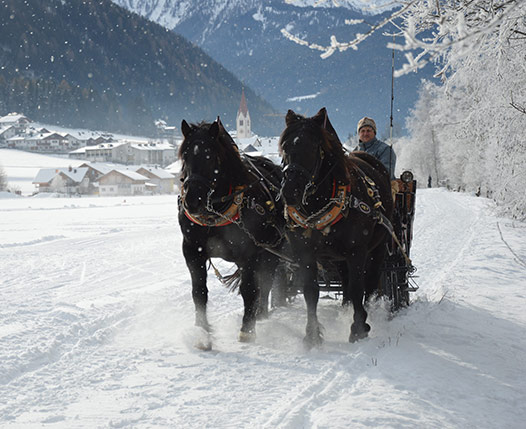HORSE CARRIAGE OR SLEDGE TOUR