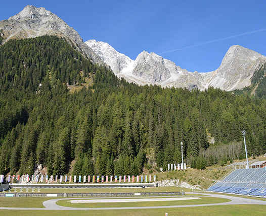 Arena