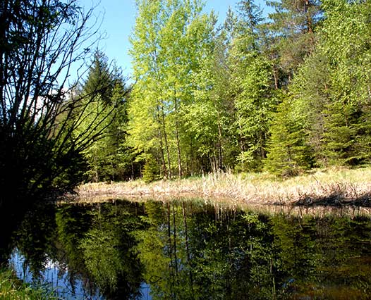 Sommerurlaub im Antholzertal, Kronplatz – Autentis